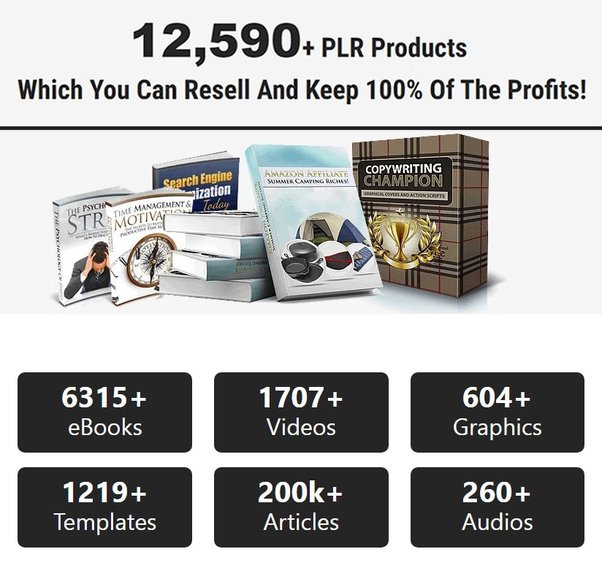 12,590+ PLR Products Which You Can Resell And Keep 100% Of The Profits!