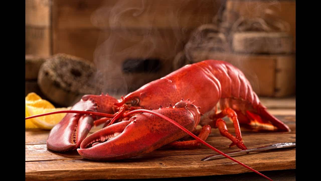 How To Correctly Cook Lobster